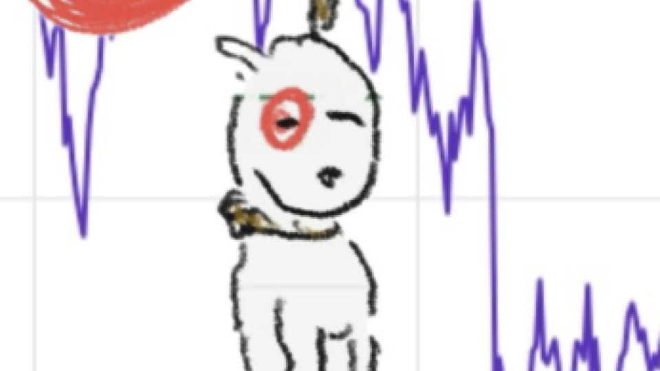 bullseye