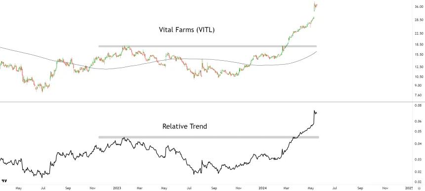 VITL