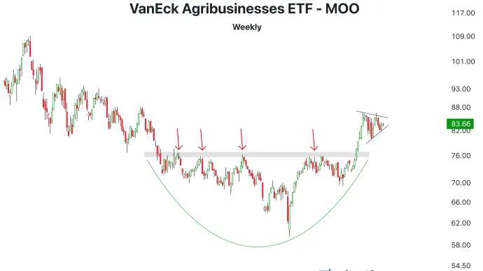 The Chart Report